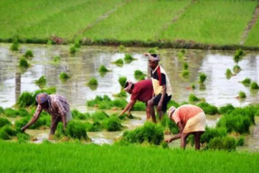 印度农业改革-2020年